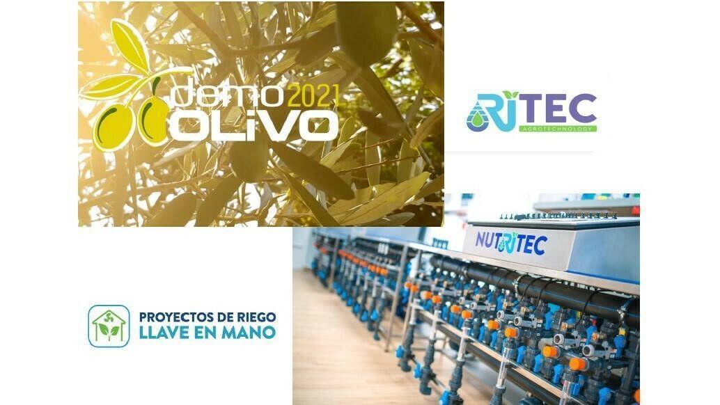 ritec-demoolivo-2021|ritec-demoolivo-2021-empresa